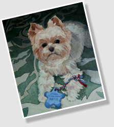 Stuart, pet portrait, 18 x 24 acrylic on stretched canvas