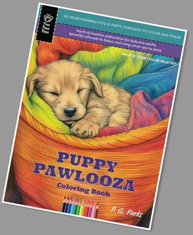 Dog Central series, book 3 of 3, learn the art of loose leash walking by P. G. Parks