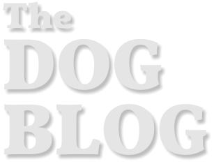 The  DOG  BLOG
