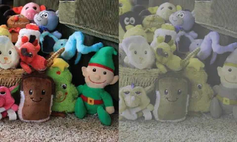 dog blog page spot image for our view of toy box to dogs view of toy box